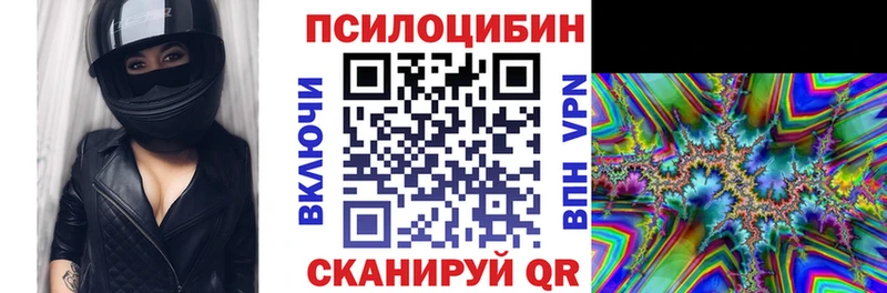 Псилоцибиновые грибы прущие грибы  купить  цена  Приморск 